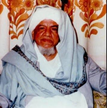 عبد الباري محمد