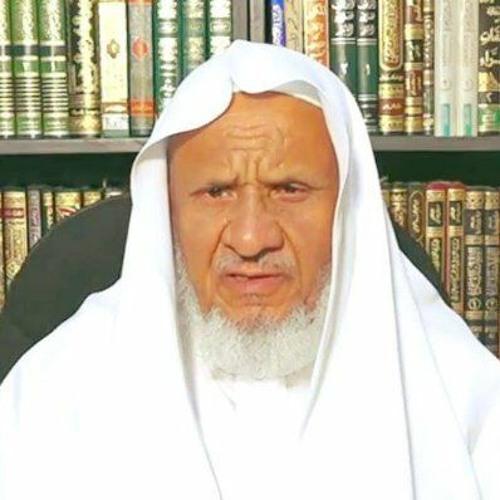 صورة قارئ القرآن أحمد خليل شاهين