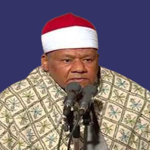 محمود أبو الوفا الصعيدي