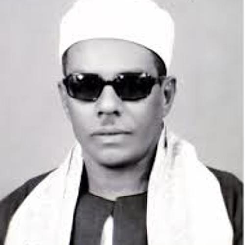 محمود حسنين الكلحي