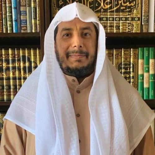 سلمان الصديق