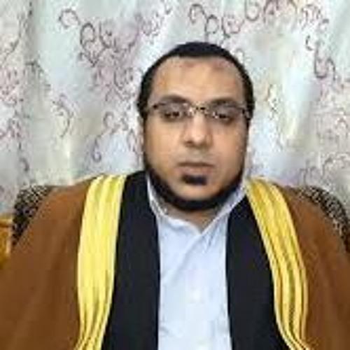 أحمد محمد سلامة