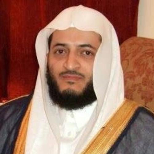 نبيل الرفاعي